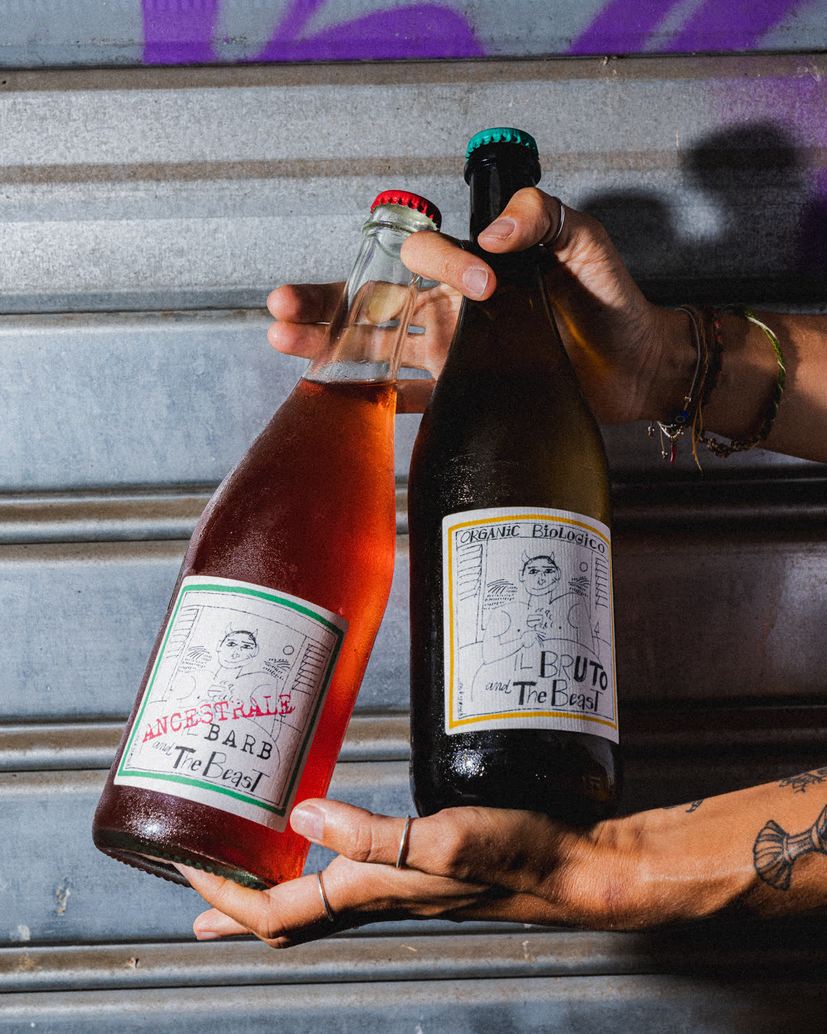 due bottiglie di vino naturale tenute in mano